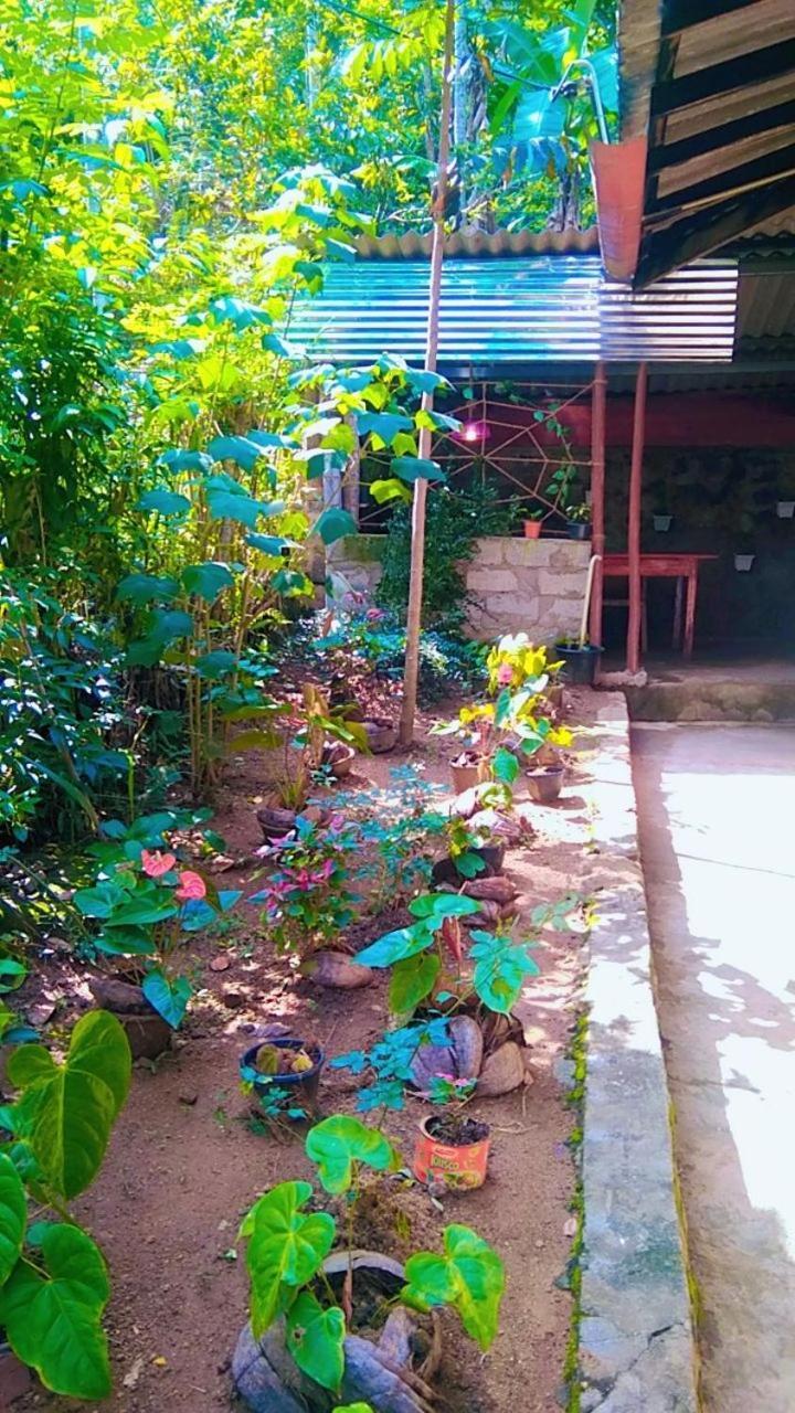 Ella Kumi Hostel Kültér fotó